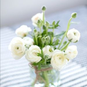 Meet your Posher, Joannie